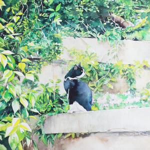 大雞巴疯狂浓精合集
